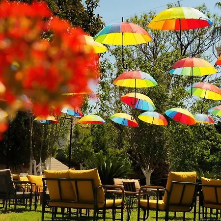 Asimado Hotel
